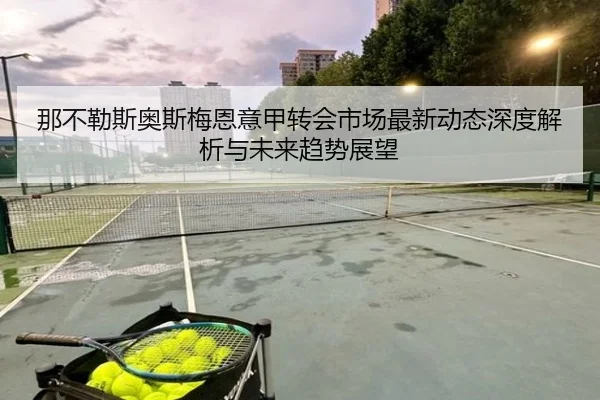 那不勒斯奥斯梅恩意甲转会市场最新动态深度解析与未来趋势展望
